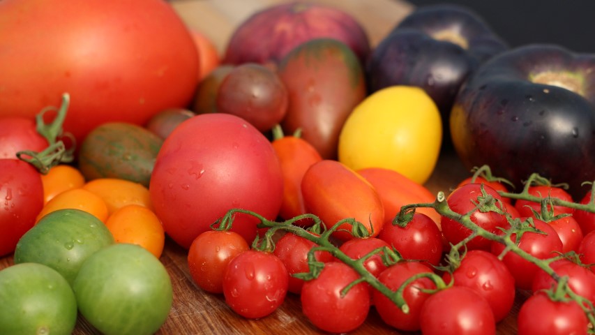 Heirloom Tomato Seed